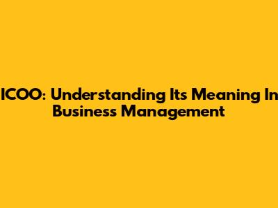 ICOO: Understanding Its Meaning In Business Management
