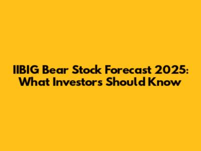 IIBIG Bear Stock Forecast 2025: What Investors Should Know