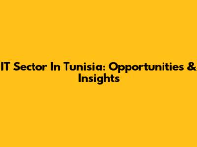 IT Sector In Tunisia: Opportunities & Insights