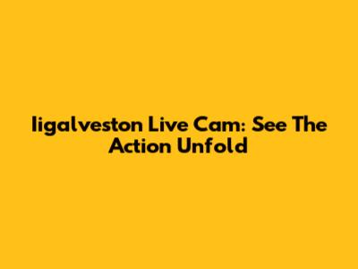 Iigalveston Live Cam: See The Action Unfold