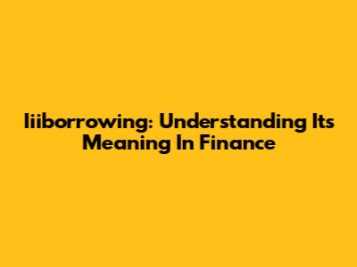 Iiiborrowing: Understanding Its Meaning In Finance