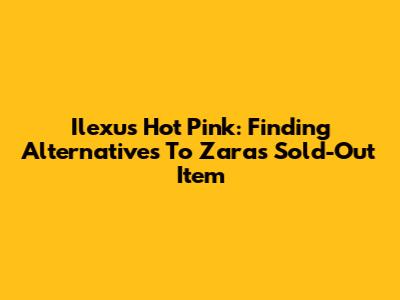 Ilexus Hot Pink: Finding Alternatives To Zara's Sold-Out Item