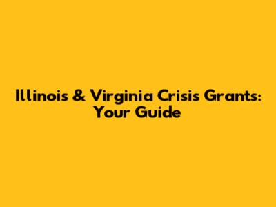 Illinois & Virginia Crisis Grants: Your Guide