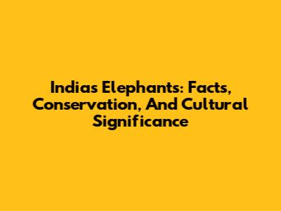 India's Elephants: Facts, Conservation, And Cultural Significance