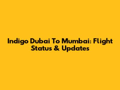 Indigo Dubai To Mumbai: Flight Status & Updates