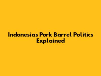 Indonesia's Pork Barrel Politics Explained
