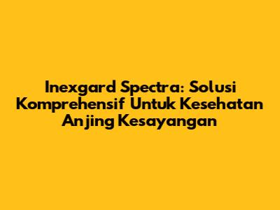Inexgard Spectra: Solusi Komprehensif Untuk Kesehatan Anjing Kesayangan