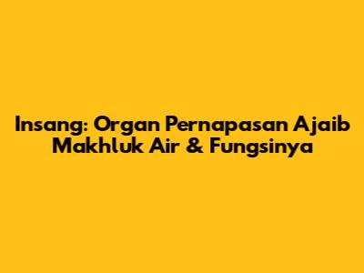 Insang: Organ Pernapasan Ajaib Makhluk Air & Fungsinya