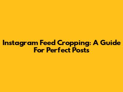 Instagram Feed Cropping: A Guide For Perfect Posts