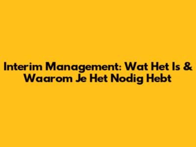 Interim Management: Wat Het Is & Waarom Je Het Nodig Hebt