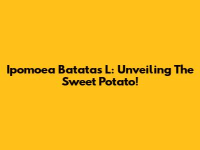 Ipomoea Batatas L: Unveiling The Sweet Potato!