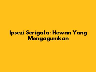 Ipsezi Serigala: Hewan Yang Mengagumkan