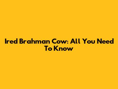 Ired Brahman Cow: All You Need To Know