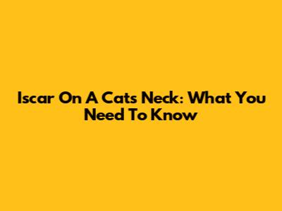 Iscar On A Cat's Neck: What You Need To Know