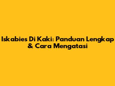 Iskabies Di Kaki: Panduan Lengkap & Cara Mengatasi