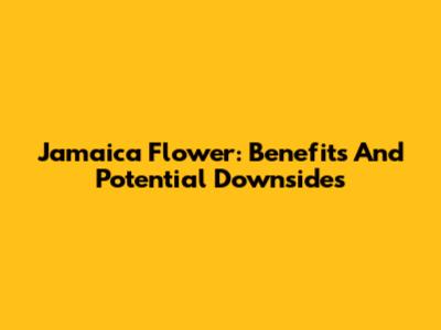 Jamaica Flower: Benefits And Potential Downsides