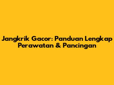 Jangkrik Gacor: Panduan Lengkap Perawatan & Pancingan