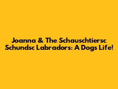Joanna & The Schauschtiersc Schundsc Labradors: A Dog's Life!