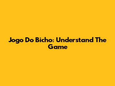 Jogo Do Bicho: Understand The Game