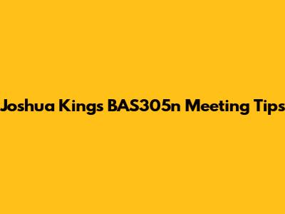 Joshua King's BAS305n Meeting Tips