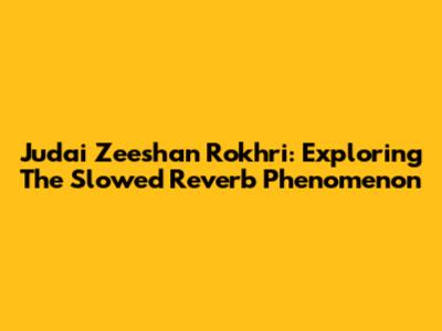 Judai Zeeshan Rokhri: Exploring The Slowed Reverb Phenomenon
