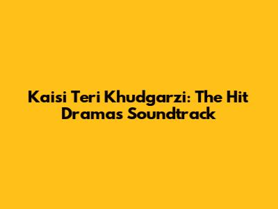Kaisi Teri Khudgarzi: The Hit Drama's Soundtrack