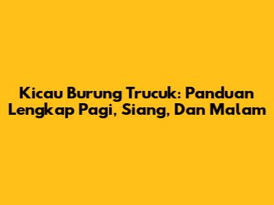 Kicau Burung Trucuk: Panduan Lengkap Pagi, Siang, Dan Malam