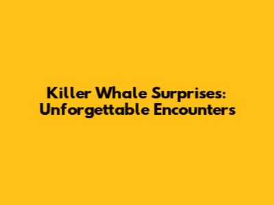 Killer Whale Surprises: Unforgettable Encounters