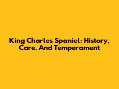 King Charles Spaniel: History, Care, And Temperament