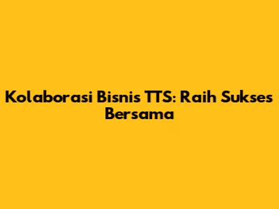 Kolaborasi Bisnis TTS: Raih Sukses Bersama