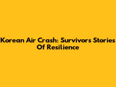 Korean Air Crash: Survivors' Stories Of Resilience