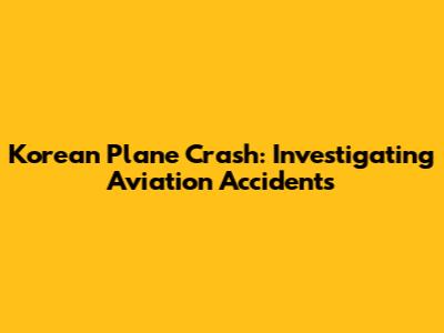 Korean Plane Crash: Investigating Aviation Accidents