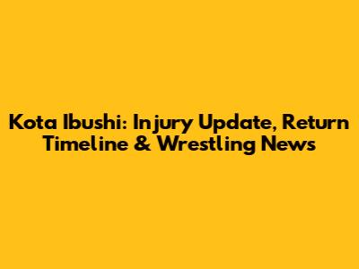 Kota Ibushi: Injury Update, Return Timeline & Wrestling News