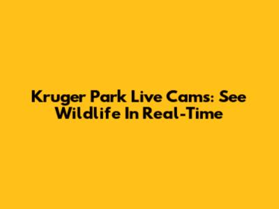 Kruger Park Live Cams: See Wildlife In Real-Time