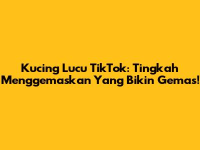 Kucing Lucu TikTok: Tingkah Menggemaskan Yang Bikin Gemas!