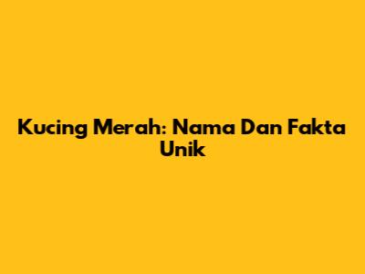 Kucing Merah: Nama Dan Fakta Unik