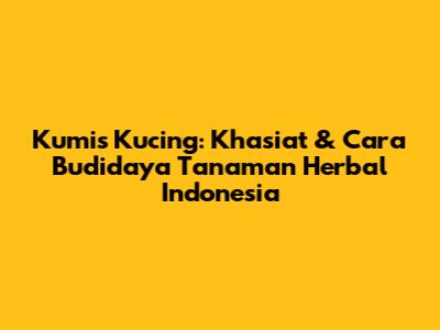 Kumis Kucing: Khasiat & Cara Budidaya Tanaman Herbal Indonesia