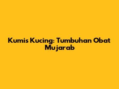 Kumis Kucing: Tumbuhan Obat Mujarab
