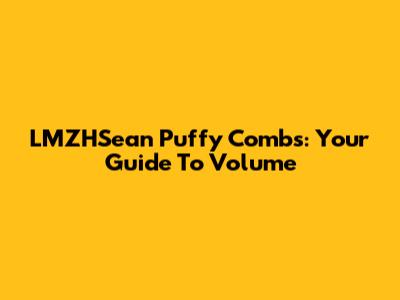 LMZHSean Puffy Combs: Your Guide To Volume