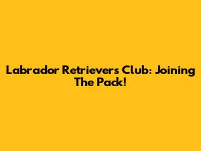 Labrador Retrievers Club: Joining The Pack!