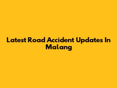 Latest Road Accident Updates In Malang