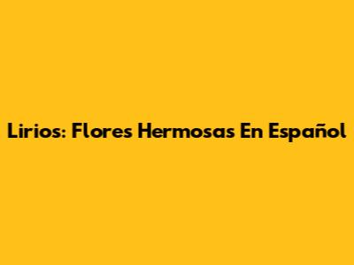 Lirios: Flores Hermosas En Español