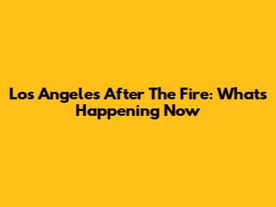 Los Angeles After The Fire: What's Happening Now