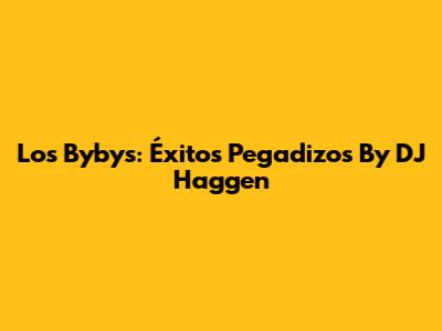 Los Bybys: Éxitos Pegadizos By DJ Haggen