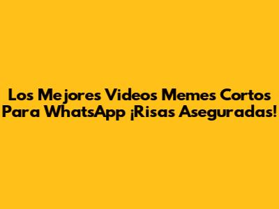 Los Mejores Videos Memes Cortos Para WhatsApp ¡Risas Aseguradas!