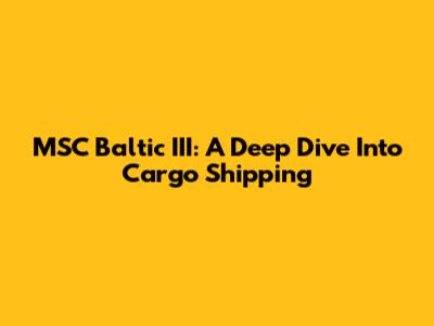 MSC Baltic III: A Deep Dive Into Cargo Shipping