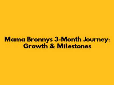 Mama Bronny's 3-Month Journey: Growth & Milestones