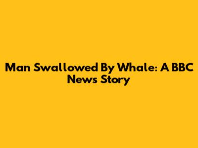Man Swallowed By Whale: A BBC News Story