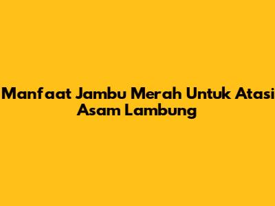 Manfaat Jambu Merah Untuk Atasi Asam Lambung