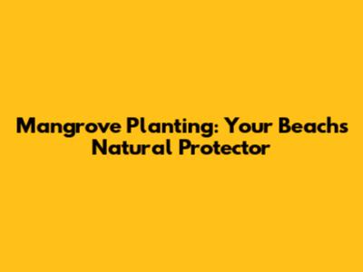 Mangrove Planting: Your Beach's Natural Protector